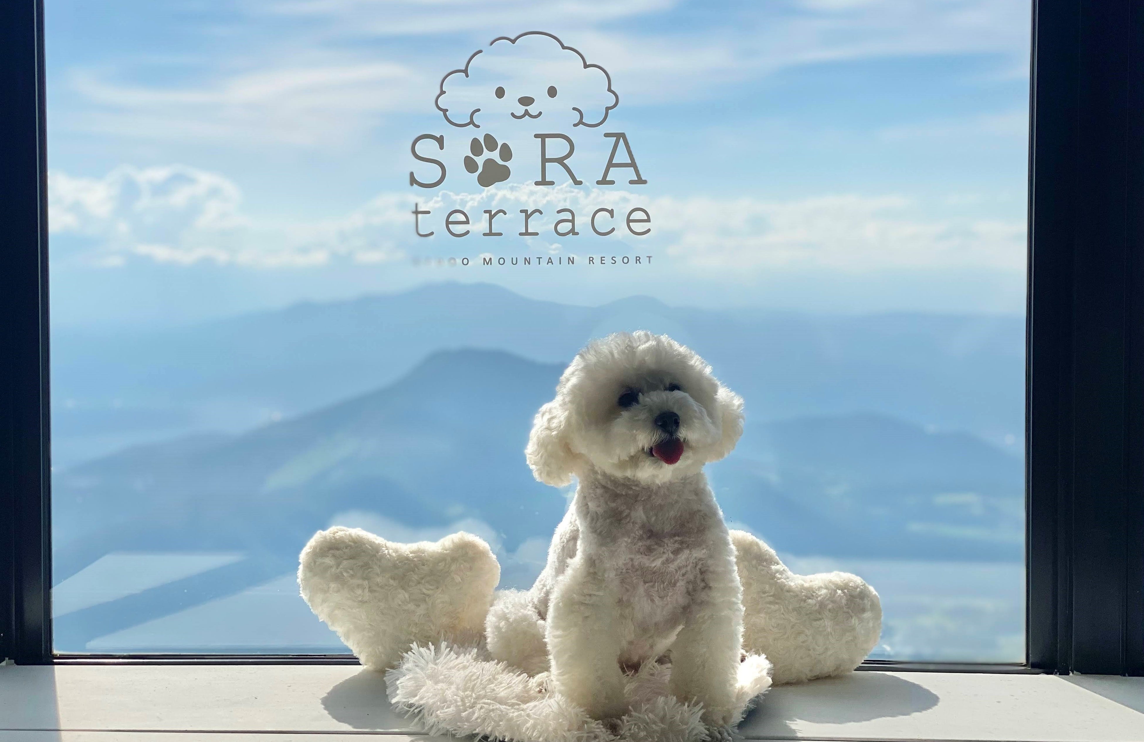 WANKO cafe写真スポット