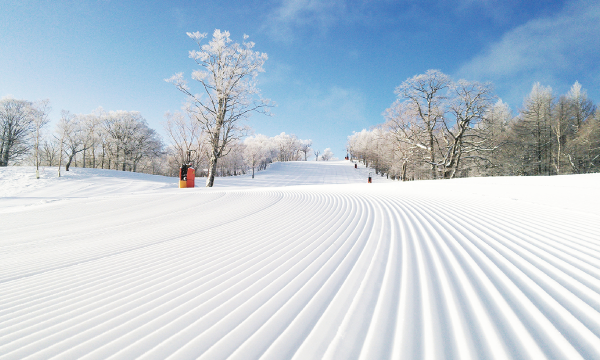 【岐阜県】めいほうスキー場
