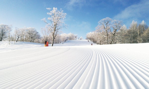 【岐阜県】めいほうスキー場