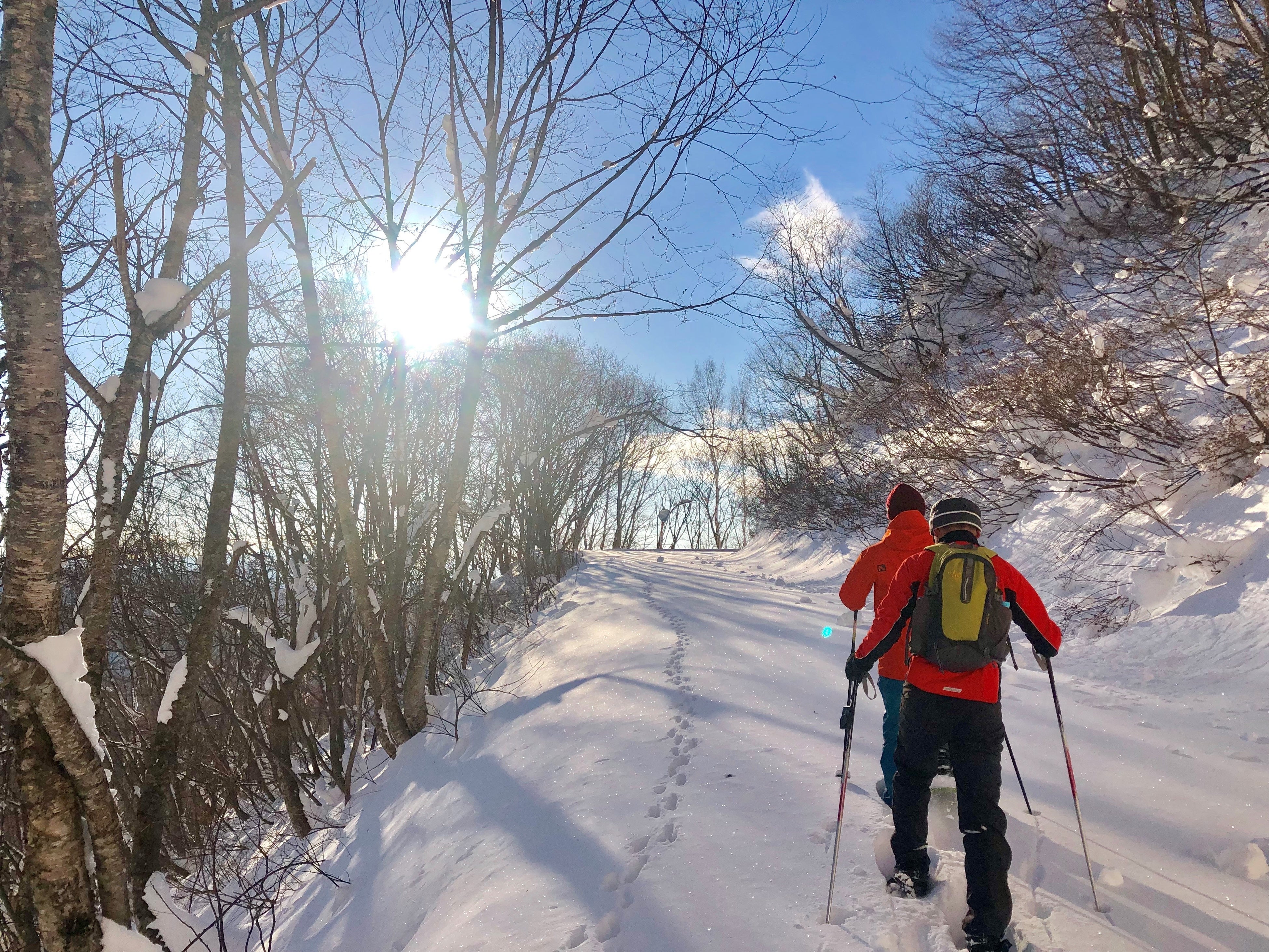 静かな原生林を歩くガイド付かんじきツアー