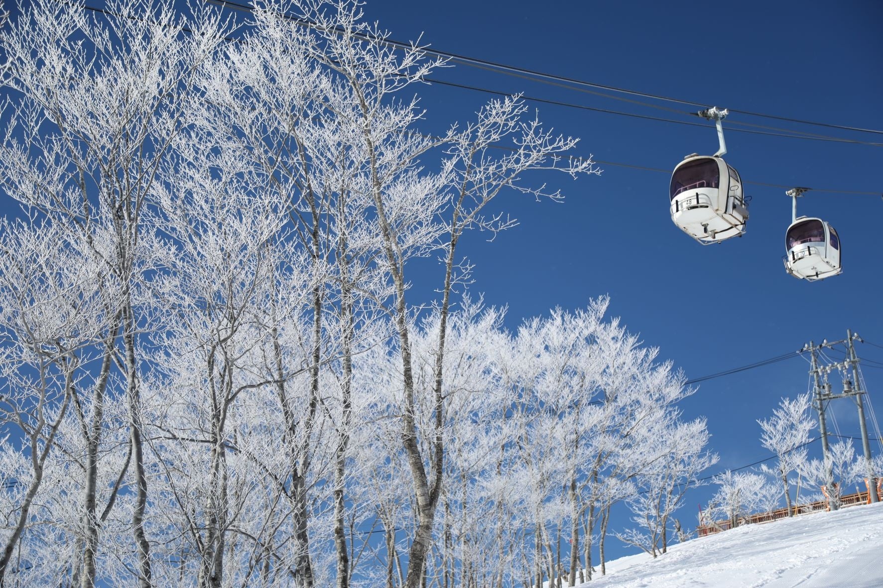 白馬八方尾根スキー場