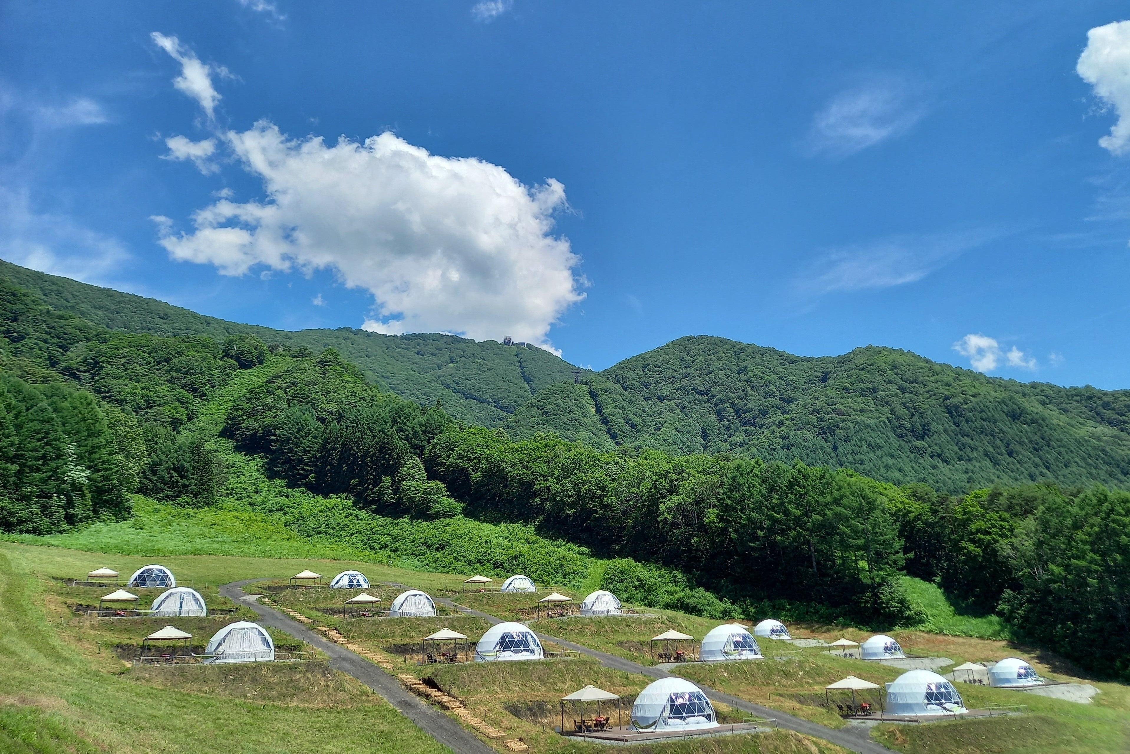 ドームテントサイト全体