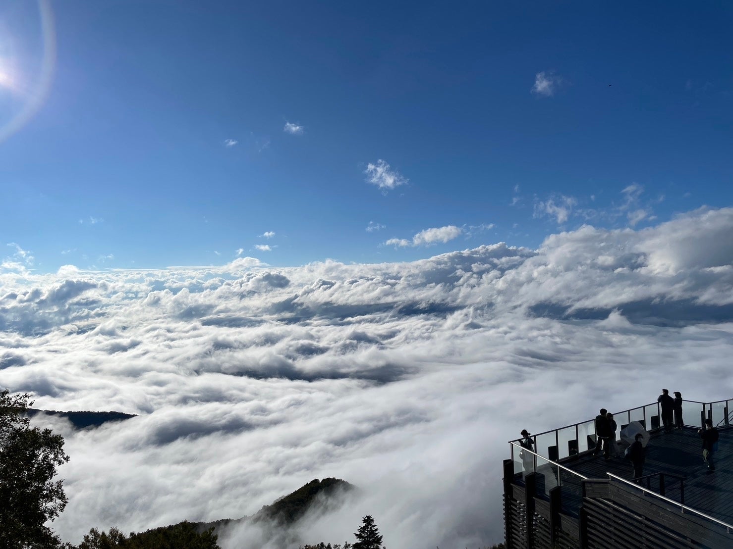 雲海確率2022年65.9%