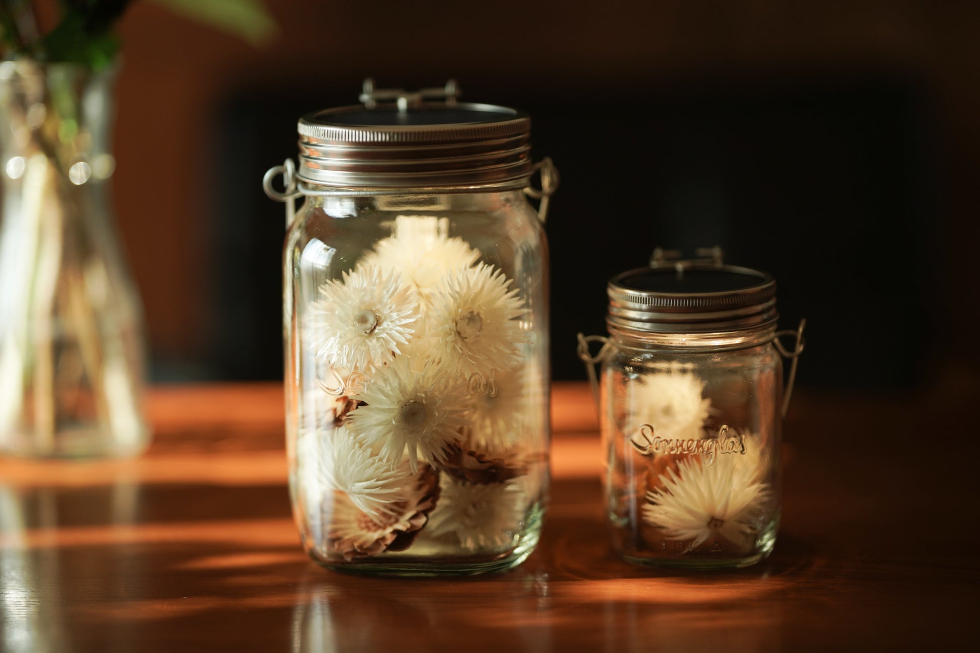 ソネングラス の人気ドライフラワーに新商品が登場ケープフラワー Rhoqo ローコ を発売 22年3月1日 火 より エバーラスティングを呼ばれる花を贈り物に ソネングラスジャパン株式会社のプレスリリース ソネングラス の人気ドライフラワーに新商品が登場ケープフラワー Rhoqo ローコ を発売 22年3月1日 火 より エバーラスティングを呼ばれる花を贈り物に ソネングラスジャパン株式会社のプレスリリース