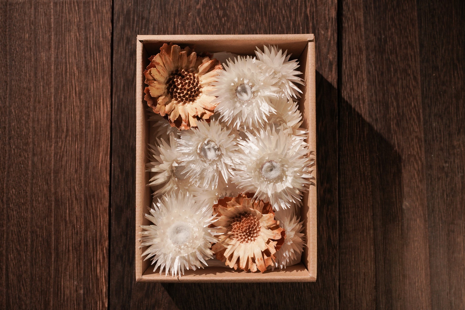 ソネングラス の人気ドライフラワーに新商品が登場ケープフラワー Rhoqo ローコ を発売 22年3月1日 火 より エバーラスティングを呼ばれる花を贈り物に ソネングラスジャパン株式会社のプレスリリース ソネングラス の人気ドライフラワーに新商品が登場ケープフラワー Rhoqo ローコ を発売 22年3月1日 火 より エバーラスティングを呼ばれる花を贈り物に ソネングラスジャパン株式会社のプレスリリース