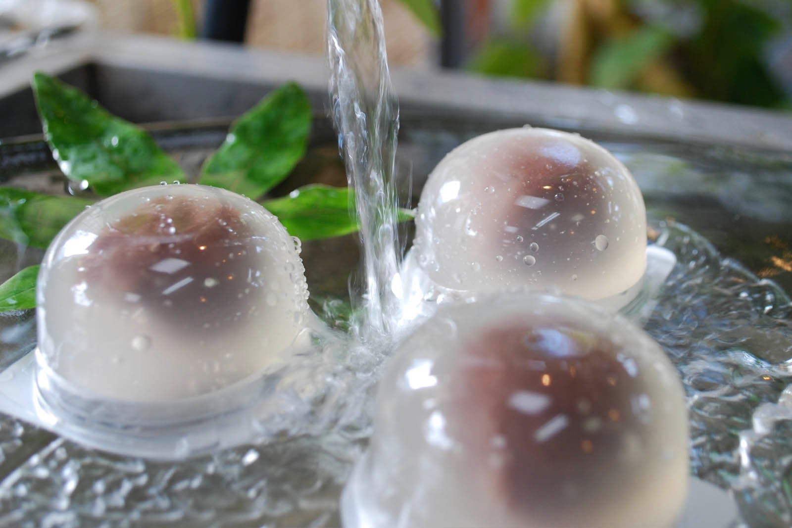 大垣銘菓水まんじゅう　体験教室イメージ