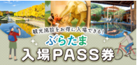 ぶらたま入場PASS