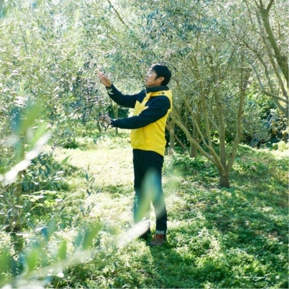 山田オリーブ園イメージ