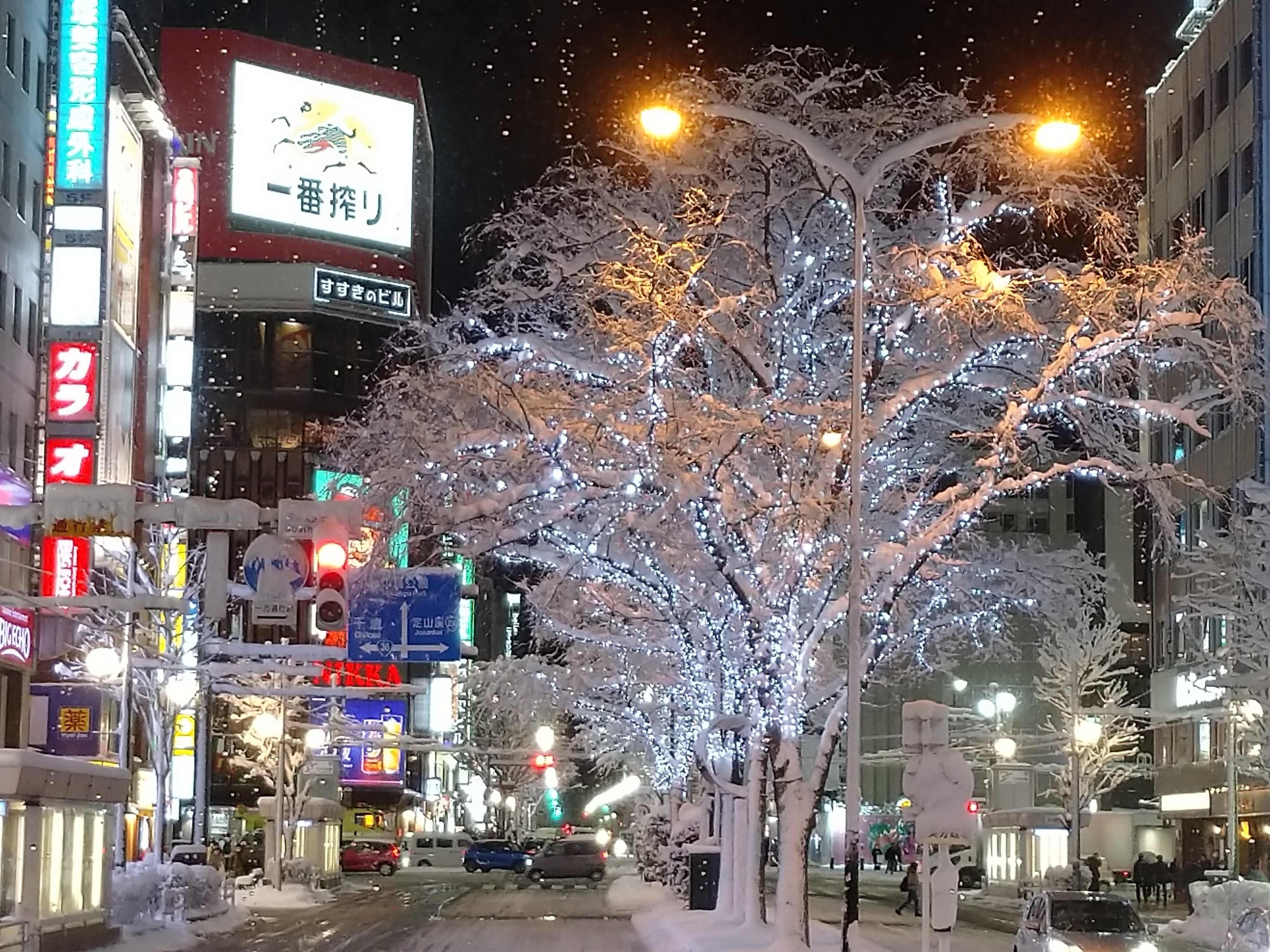 イルミネーション（イメージ）