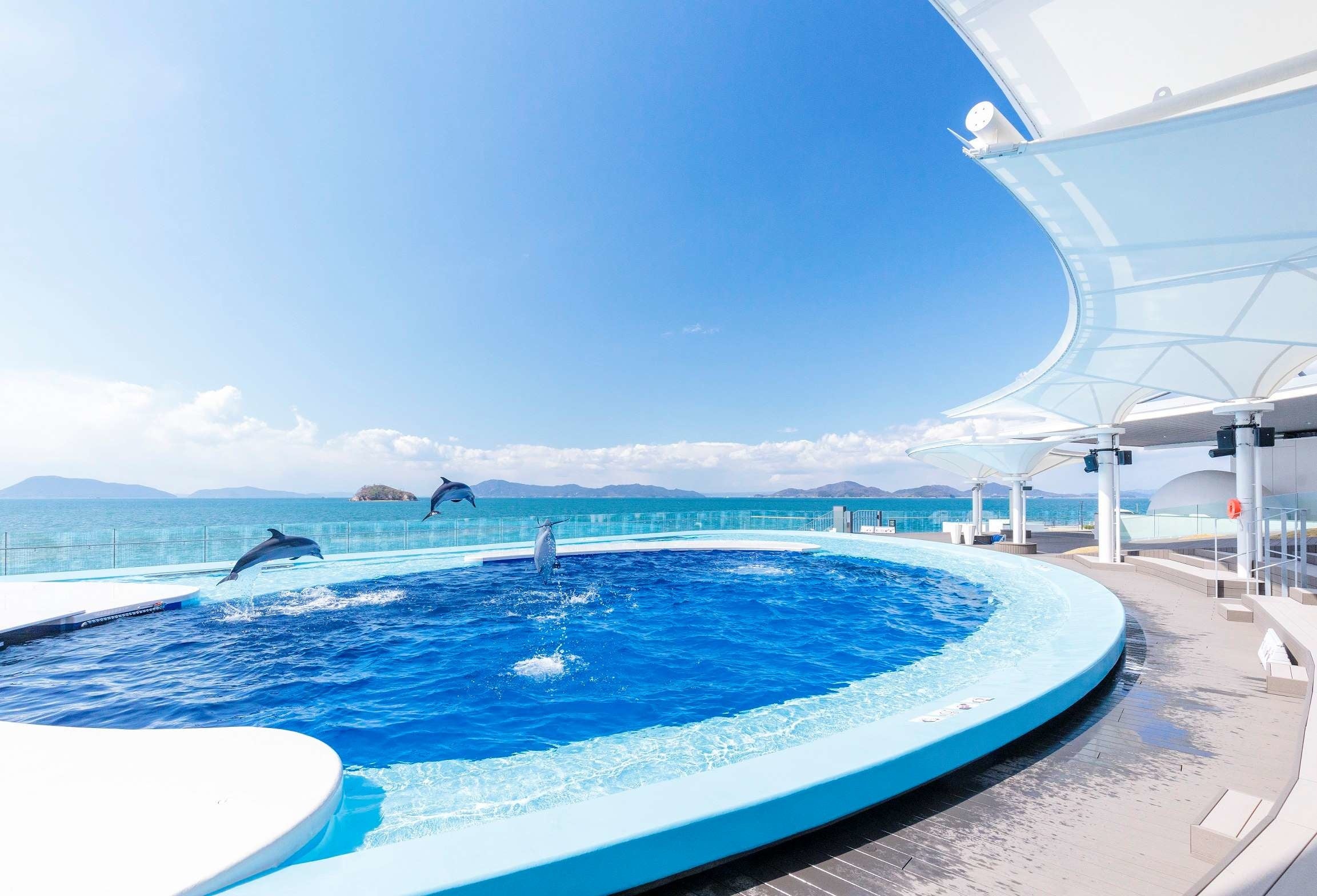 四国水族館 海豚プール（画像提供：四国水族館）