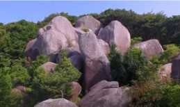 唐人駄場（巨石群）／提供：土佐清水市