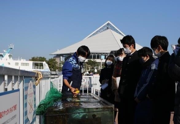 東京湾ワンダーウォッチャーズ（体験イメージ）