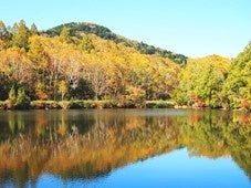 志賀高原（イメージ）