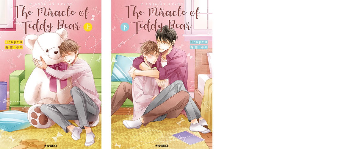 アンダルシュノベルスBLノベルまとめ売り13冊 アンダルシュノベルスBLノベルまとめ売り13冊 アンダルシュ