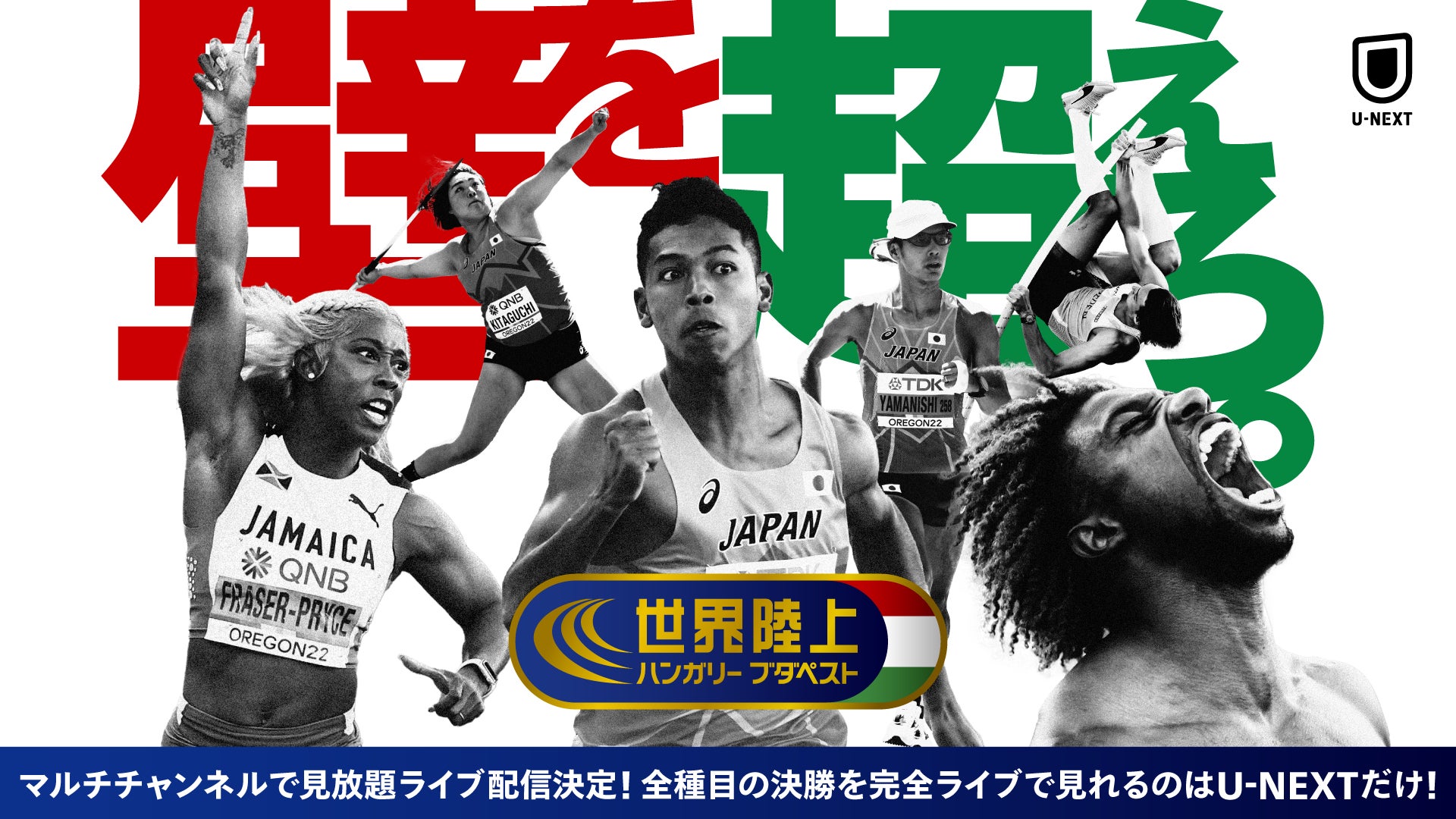 活動歴および当時の関連ビジュアル記録