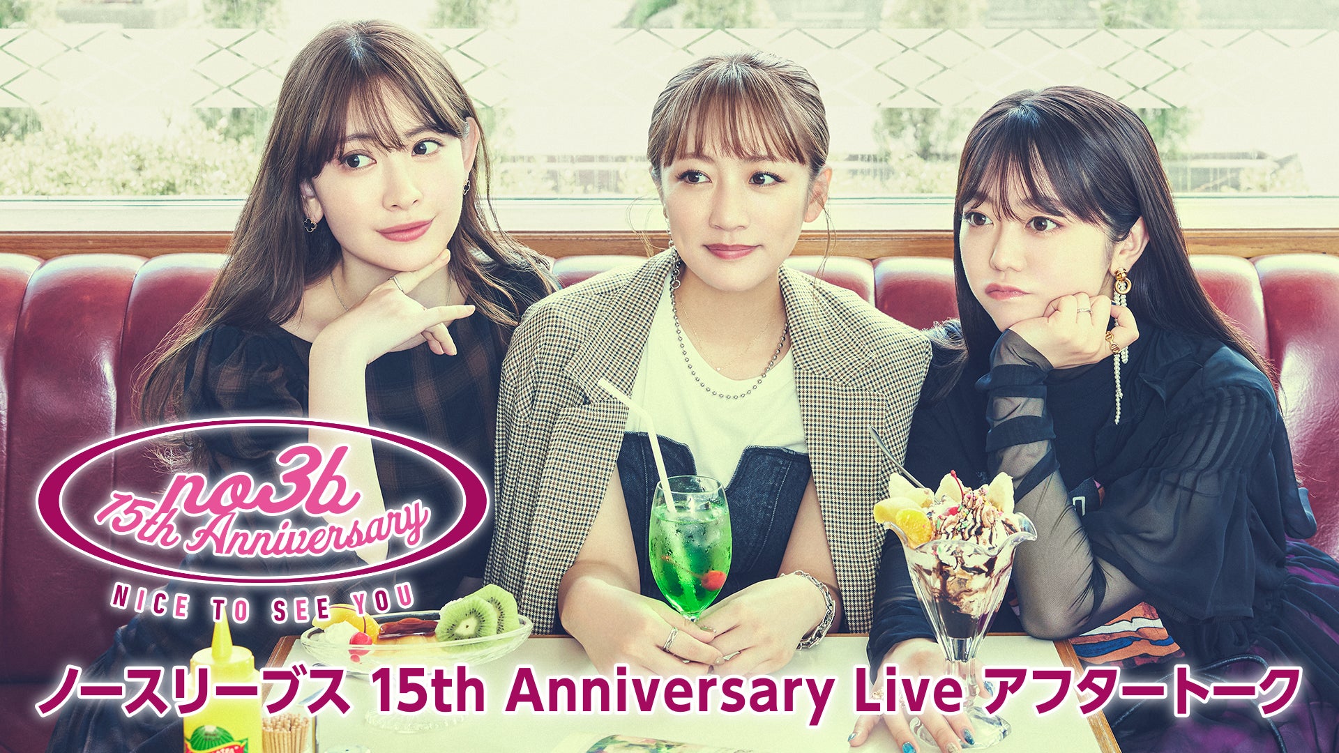 ノースリーブス 15th Anniversary Live DVD ノースリーブス15th Anniversary Live DVD