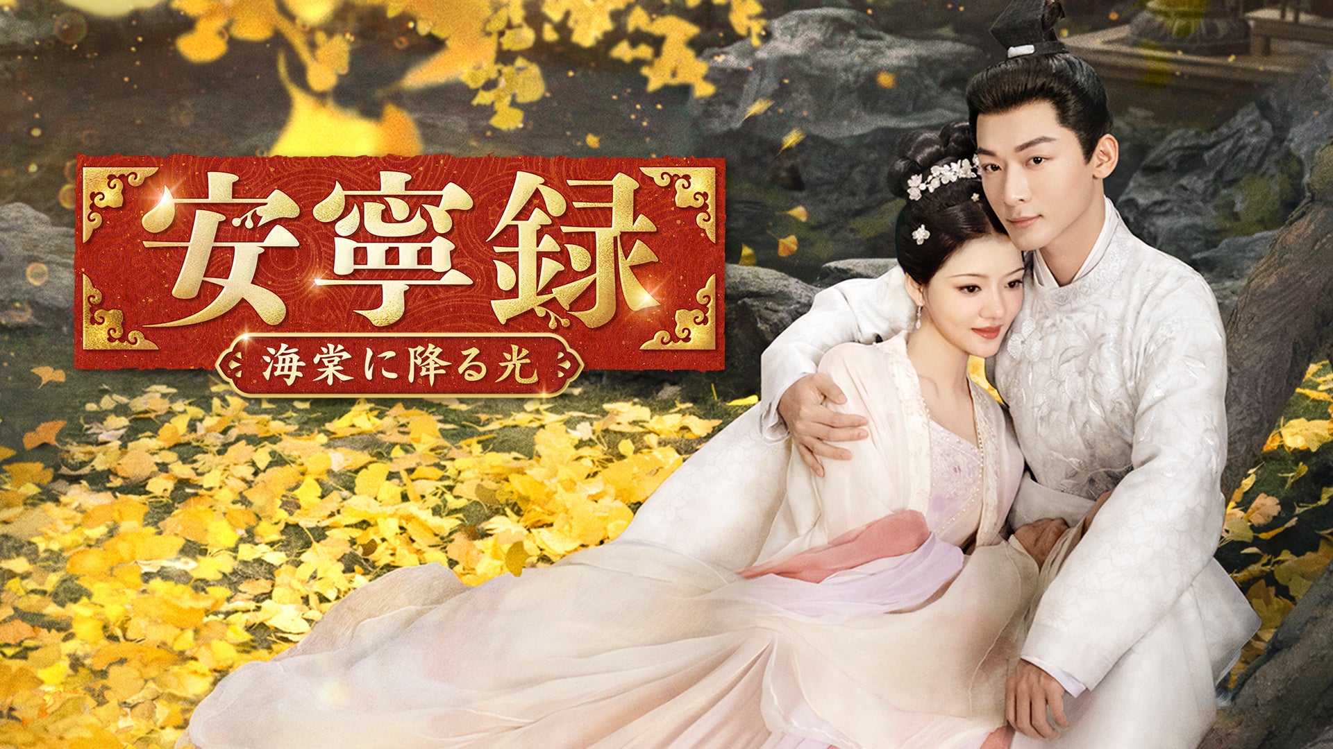 ミュージック KIYOKIBA SHUNSUKE BIRTH THE FINAL 清木場俊介の全国