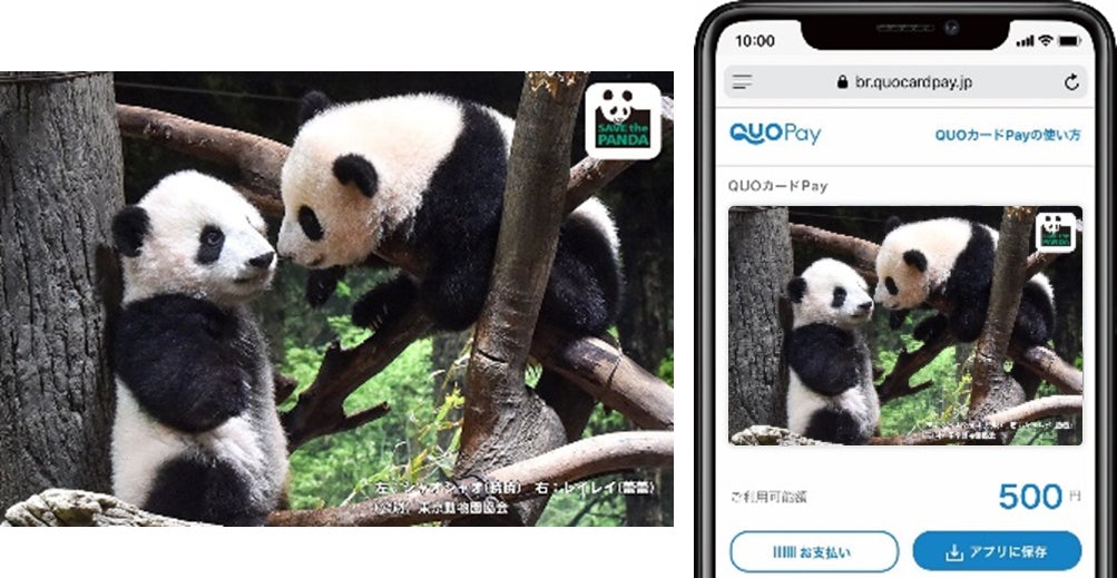 祝 1歳誕生日記念 上野動物園 双子パンダ シャオシャオ レイレイ オリジナルデザイン Quoカード Quoカードpay シリーズ第3弾新発売 株式会社クオカードのプレスリリース 祝 1歳誕生日記念 上野動物園 双子パンダ シャオシャオ レイレイ オリジナルデザイン Quoカード Quoカードpay シリーズ第3弾新発売 株式会社クオカードのプレスリリース