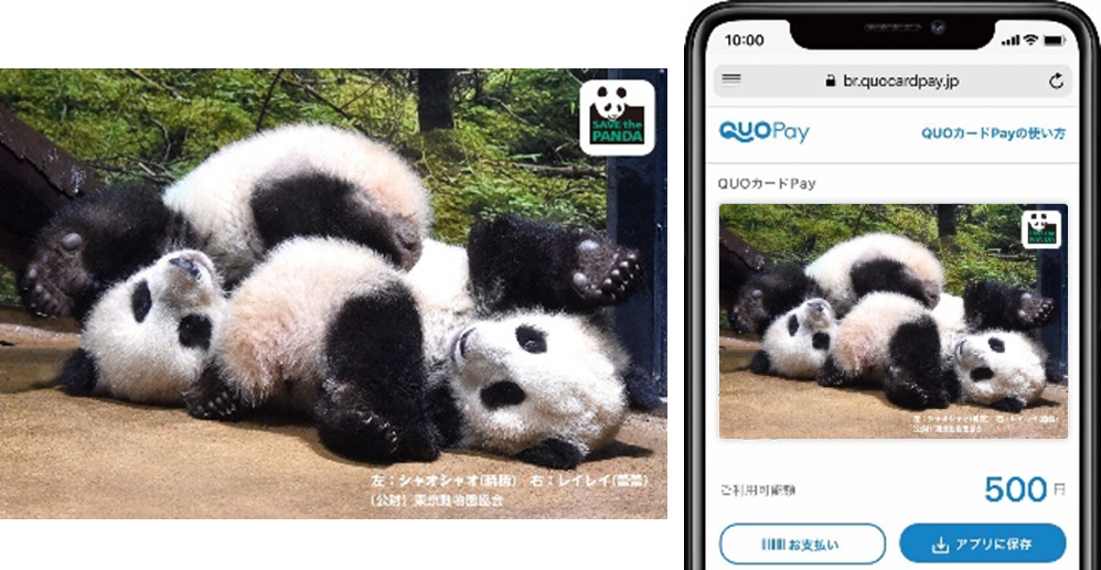 シャオシャオ&レイレイ わんぱく（264日齢）