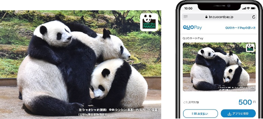 シャオシャオ&レイレイ 甘えんぼ（355日齢）