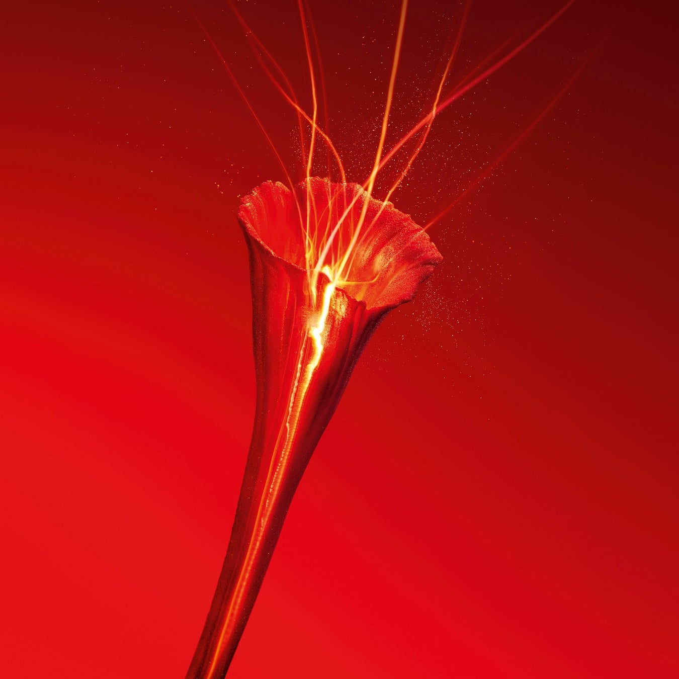 Ysl 高速美容 のその先へ 類稀なサフランの恵み 新生オールージュ 誕生 日本ロレアル株式会社のプレスリリース Ysl 高速美容 のその先へ 類稀なサフランの恵み 新生オールージュ 誕生 日本ロレアル株式会社のプレスリリース