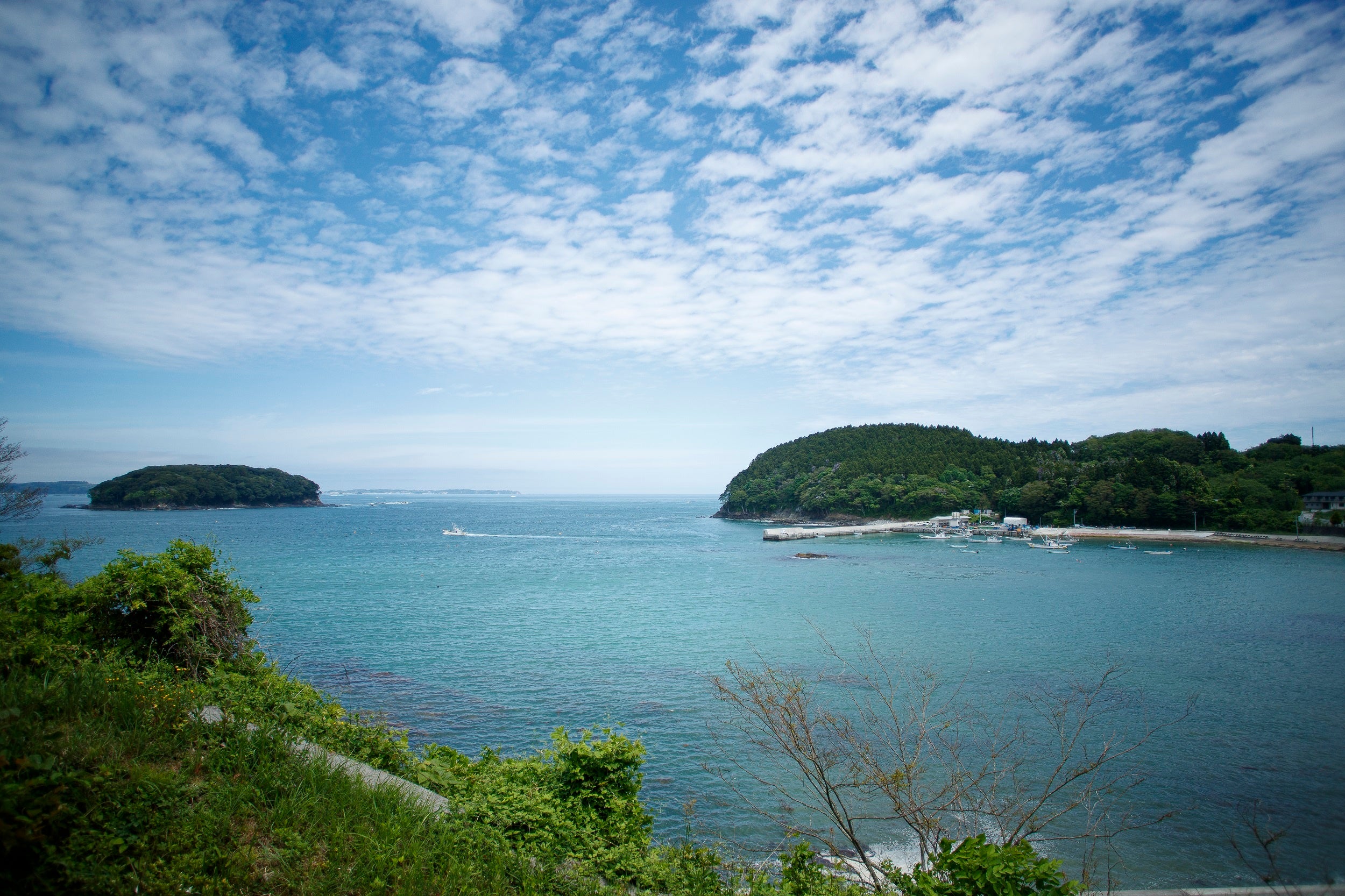 お宿からの風景