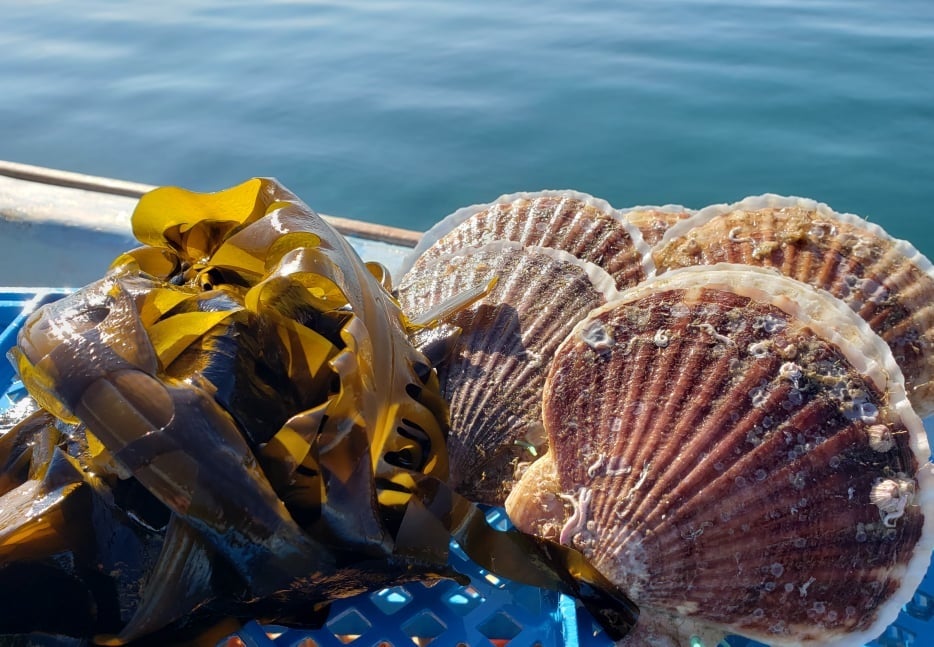 大賞の賞品一例