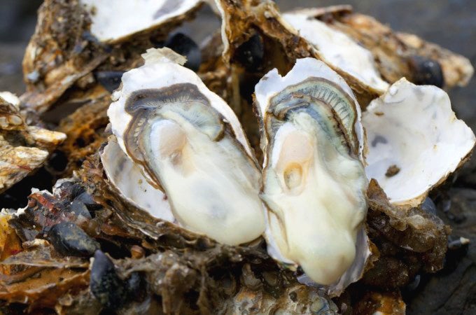 南三陸産の牡蠣