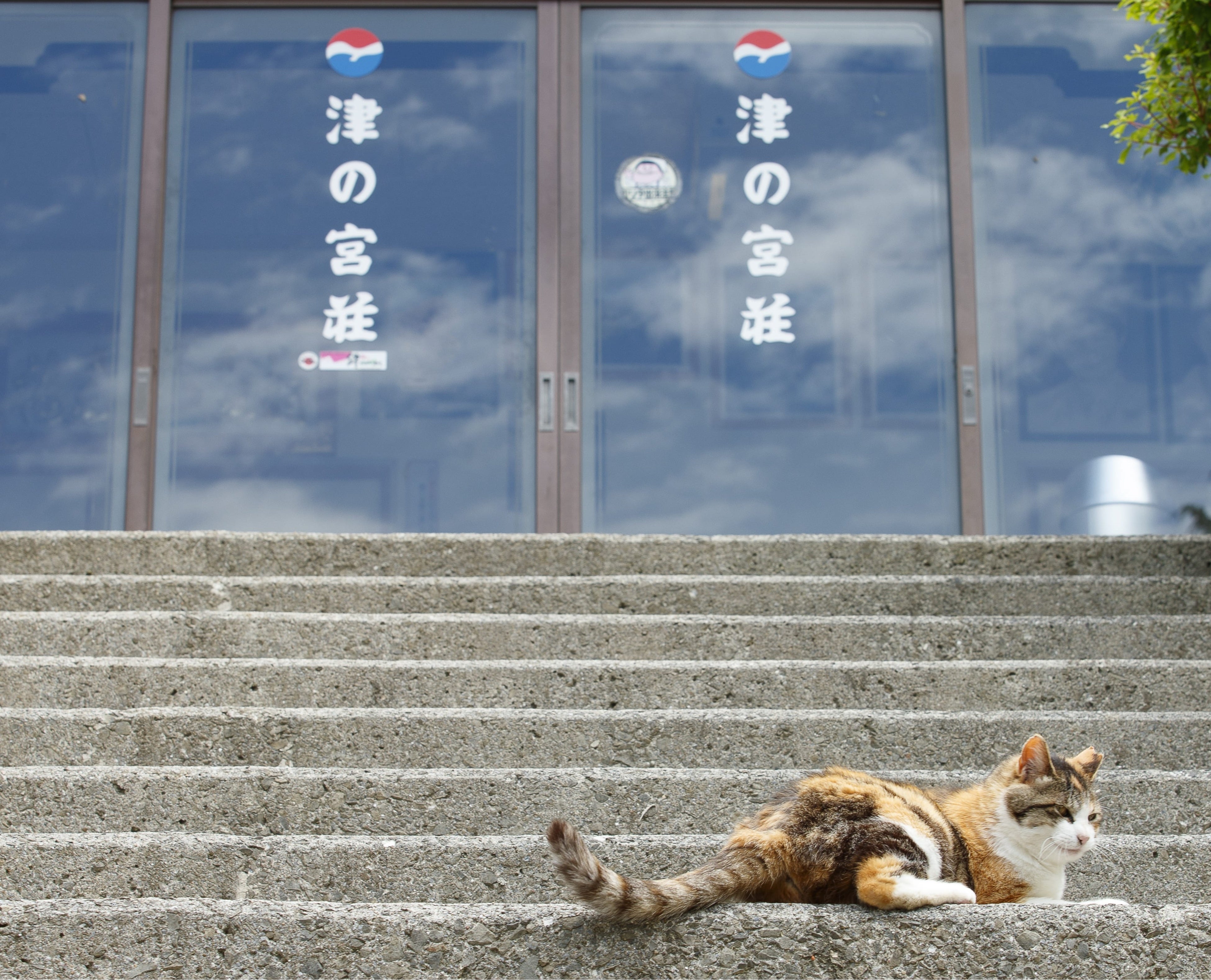 民宿　津の宮荘