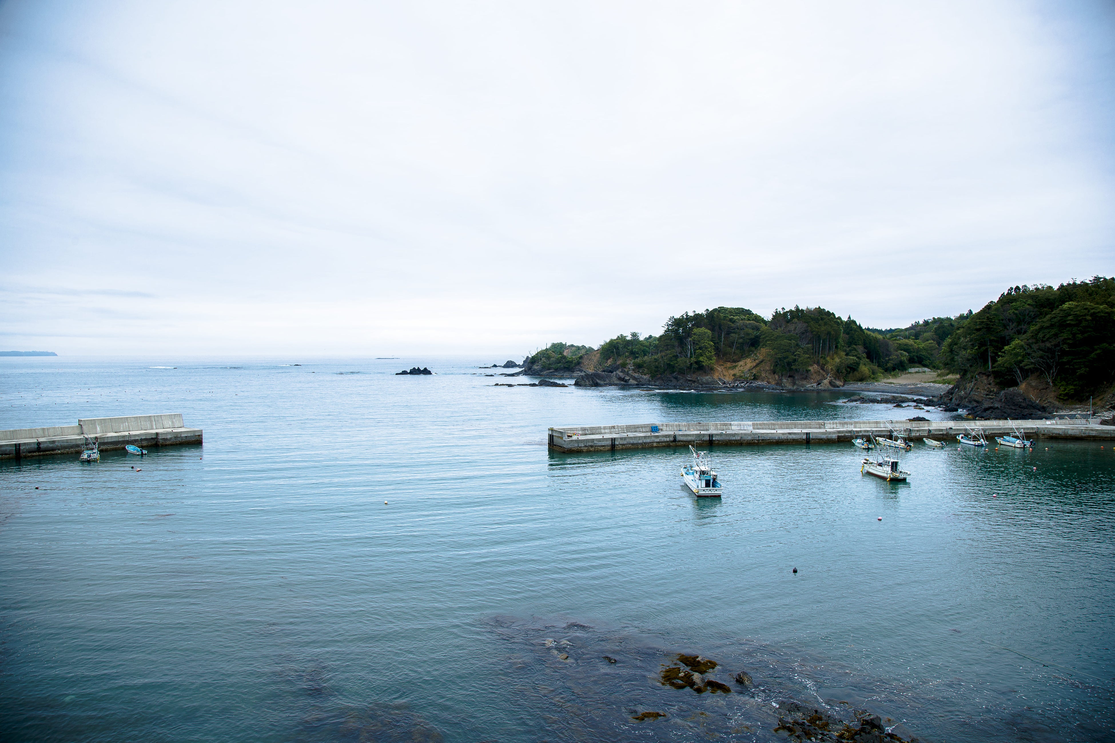 ながしず荘からの景色