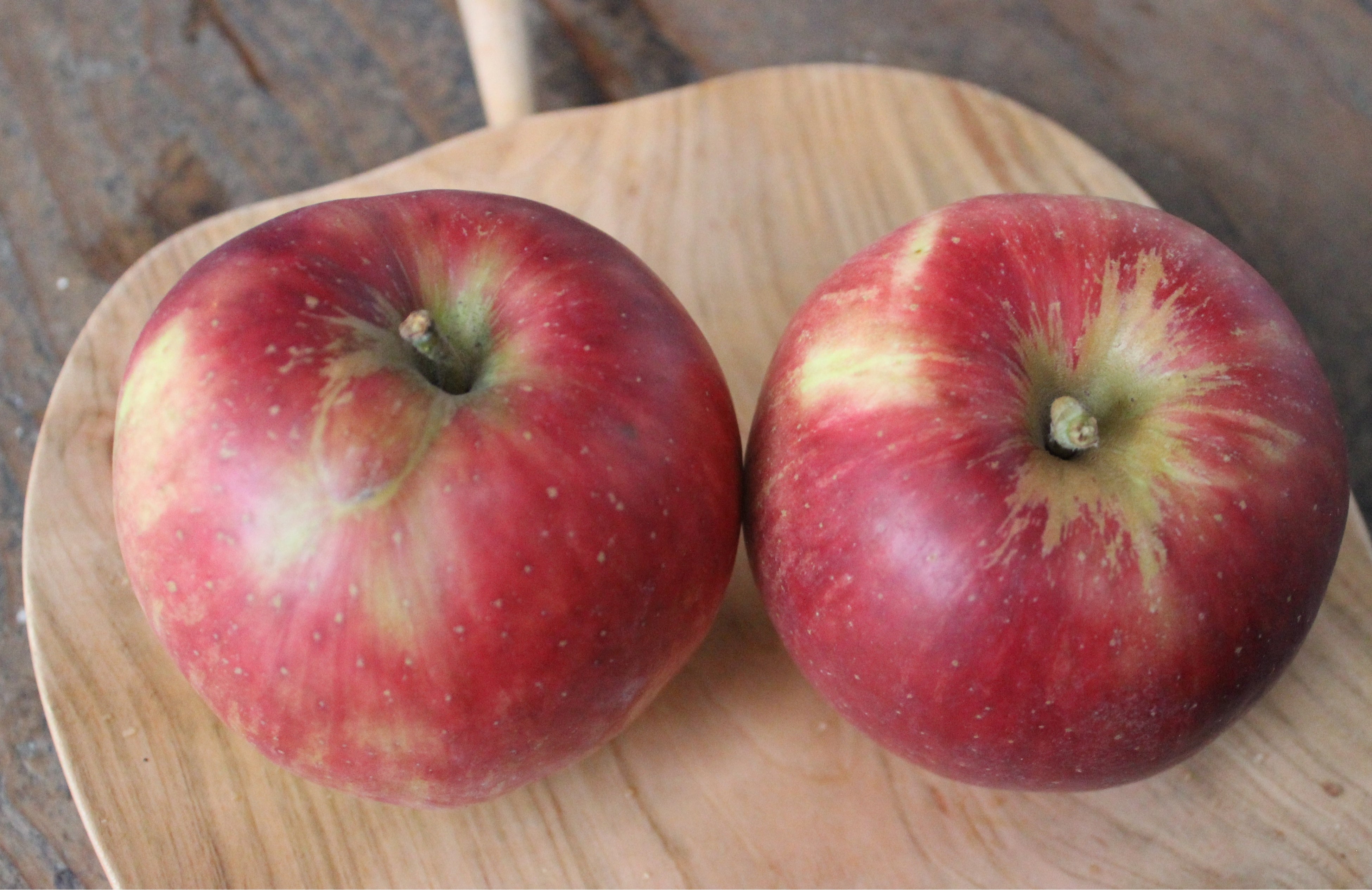 南三陸産りんご