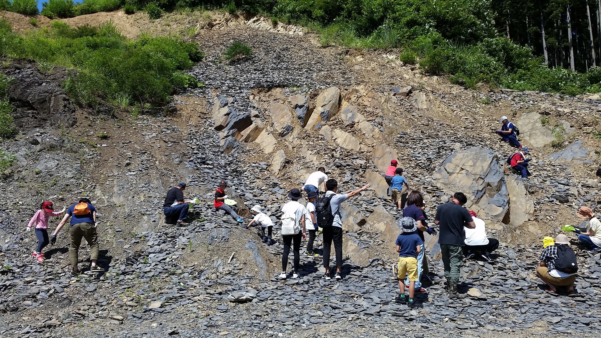 化石発掘体験の様子