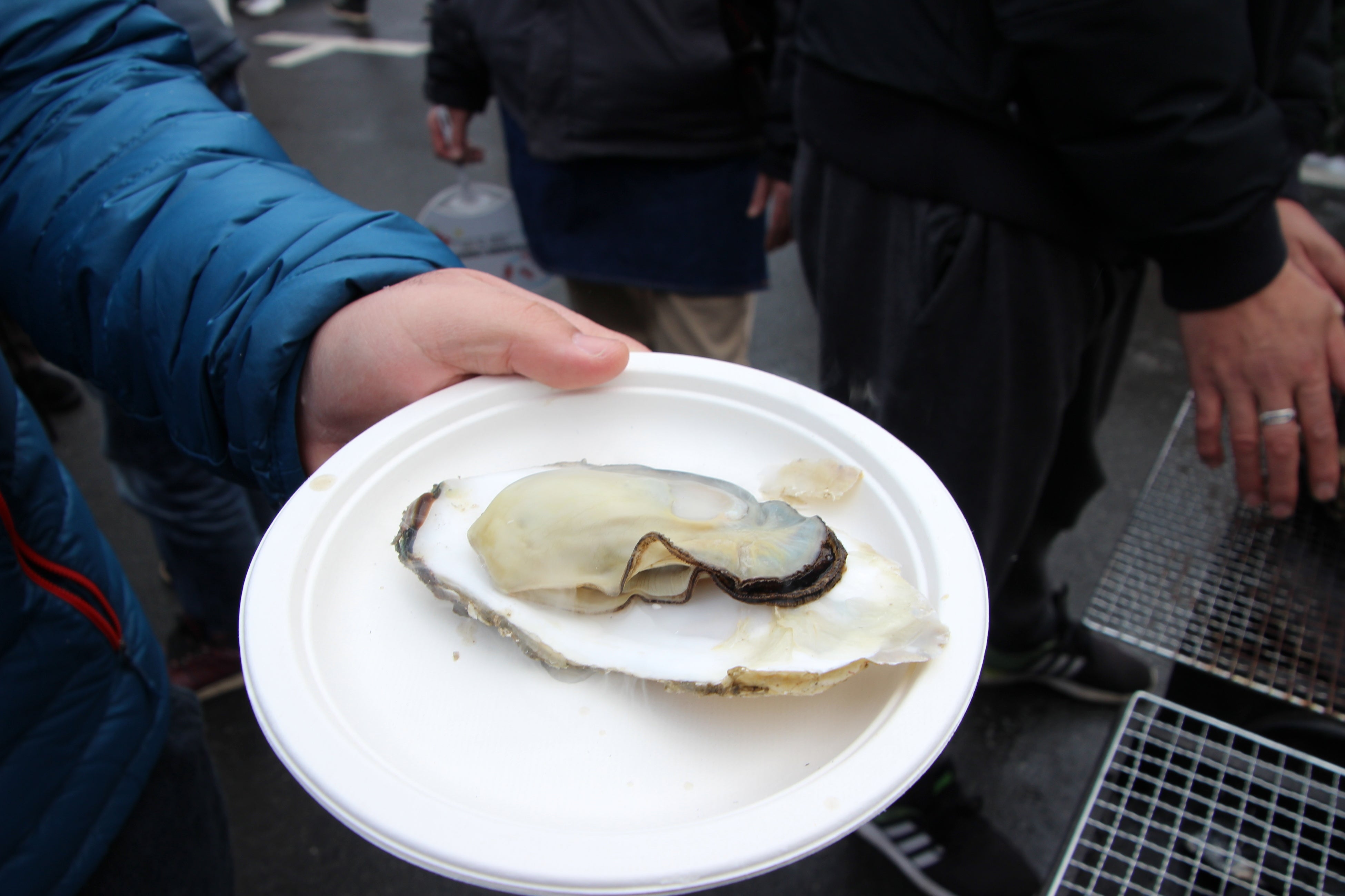 提供する蒸し牡蠣