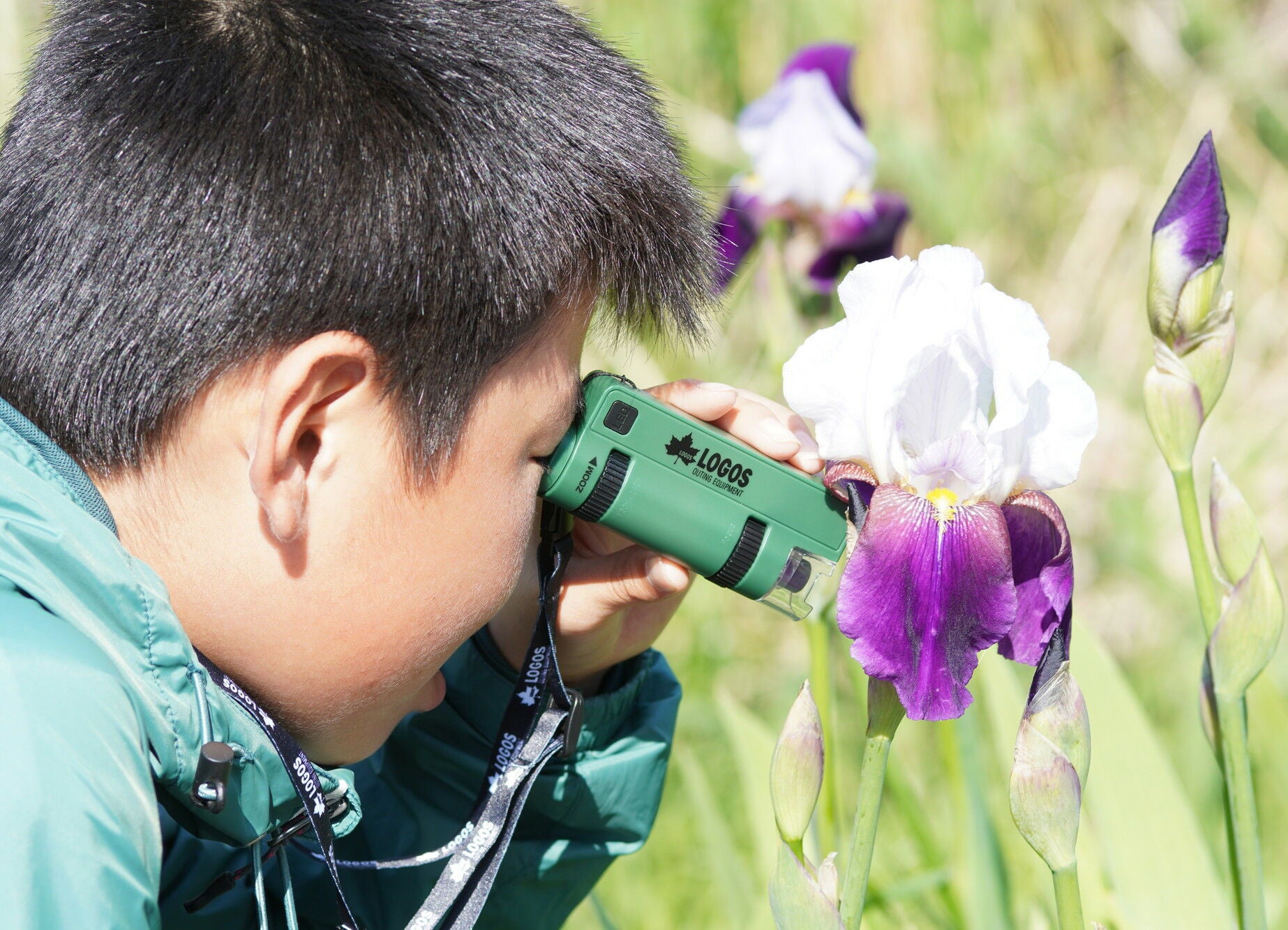 ※写真はイメージです