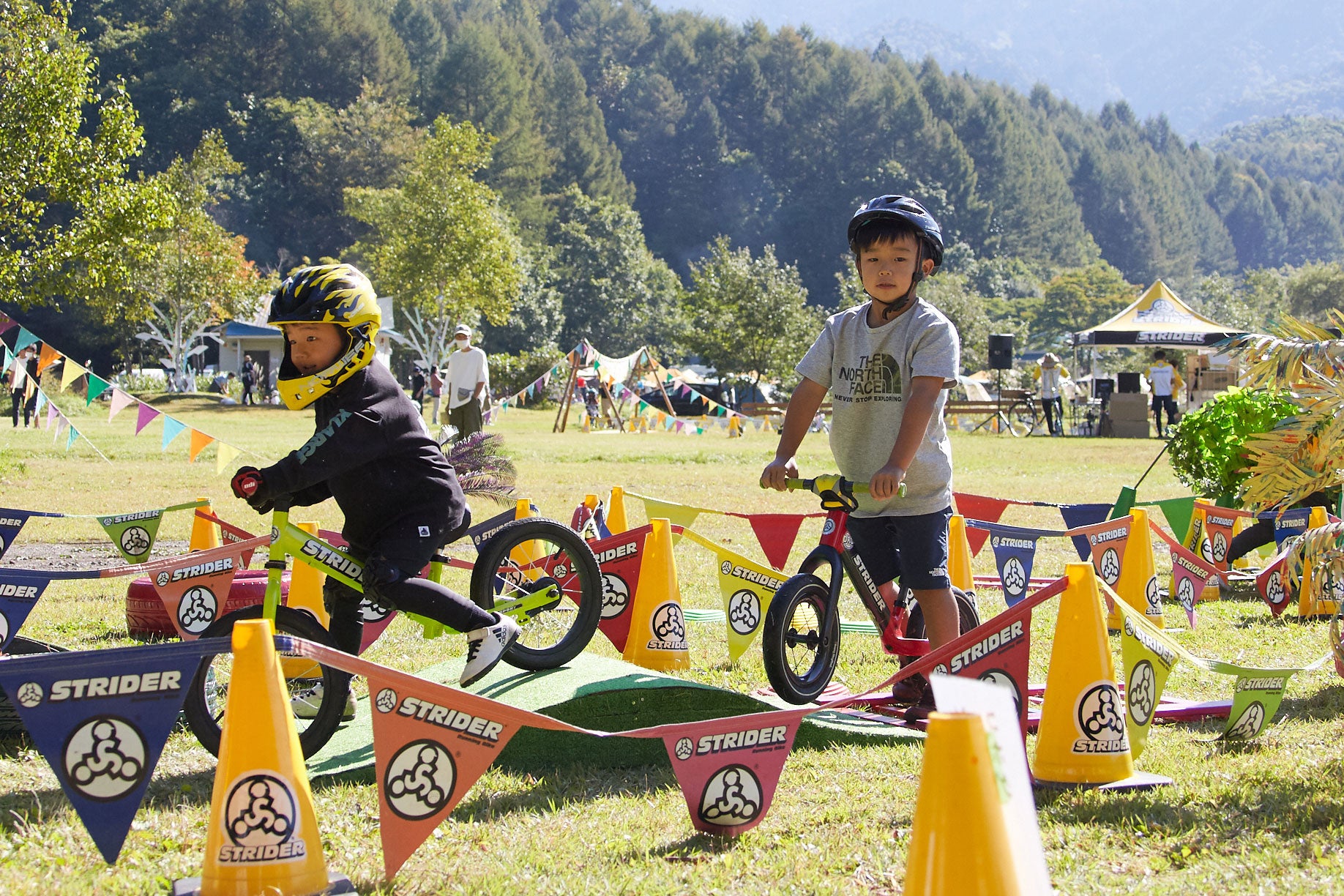 ※画像はイメージです