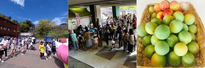 ロゴスランドフェスタ:地元企業と家族向けイベント!6月23日開催 ロゴスランドフェスタ:地元企業と家族向けイベント!6月23日開催