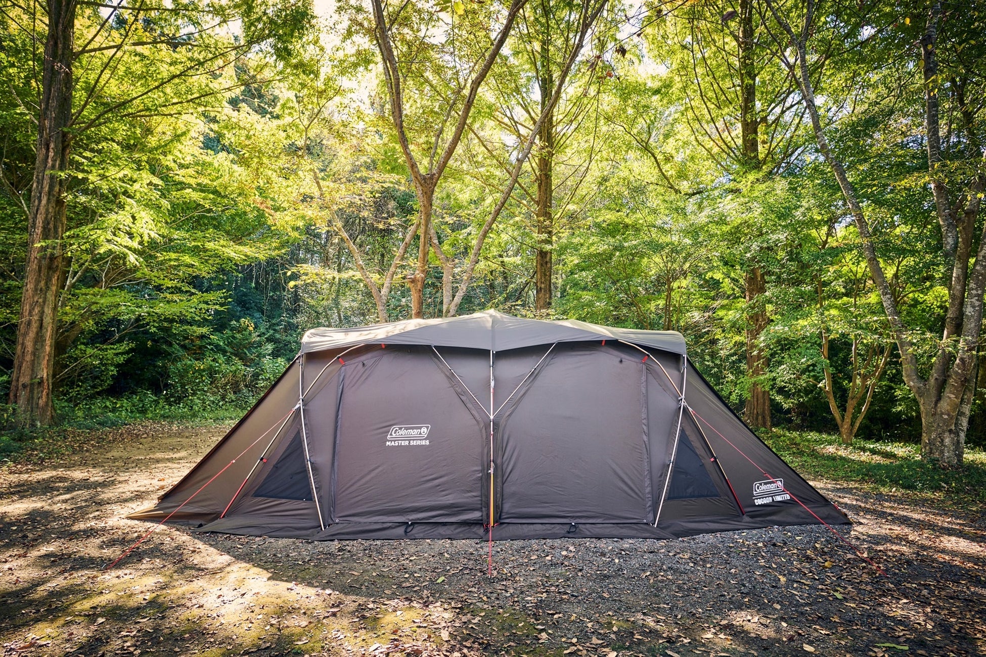 マスターブラウンで統一されたフライシート