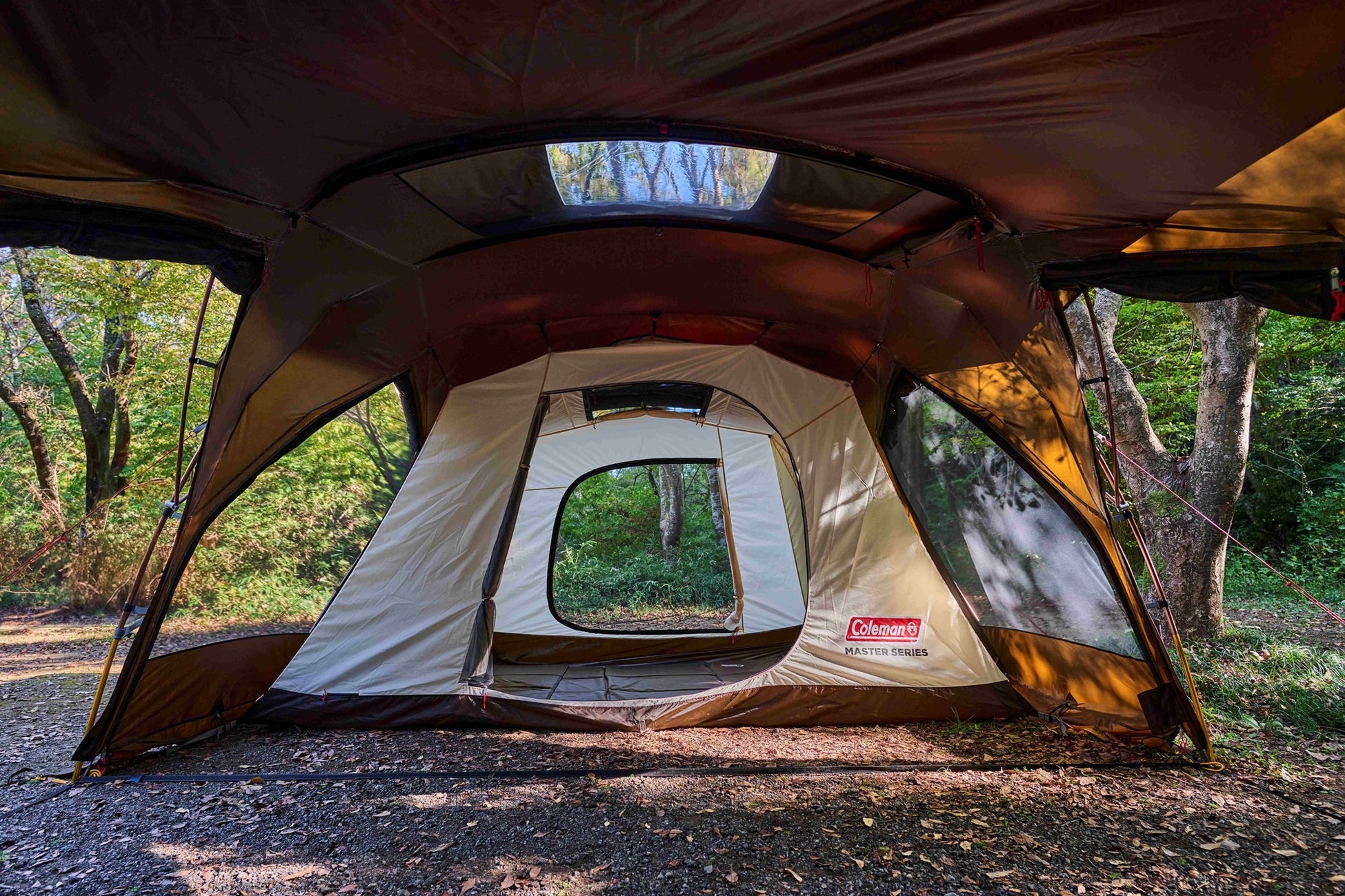 空気循環を考えつくした大型ベンチレーション