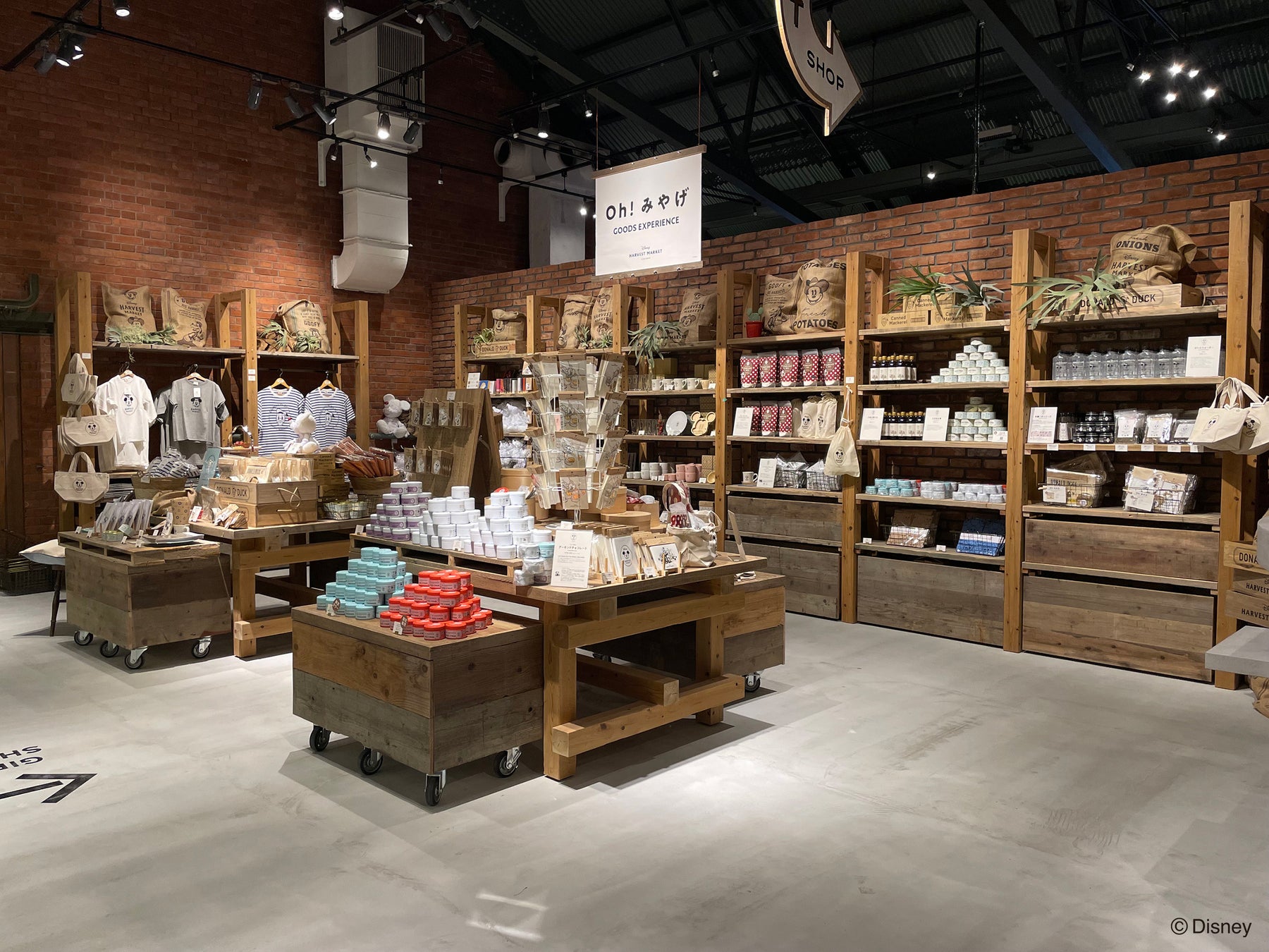ギフトショップ (店内エントランス入ってすぐ)
