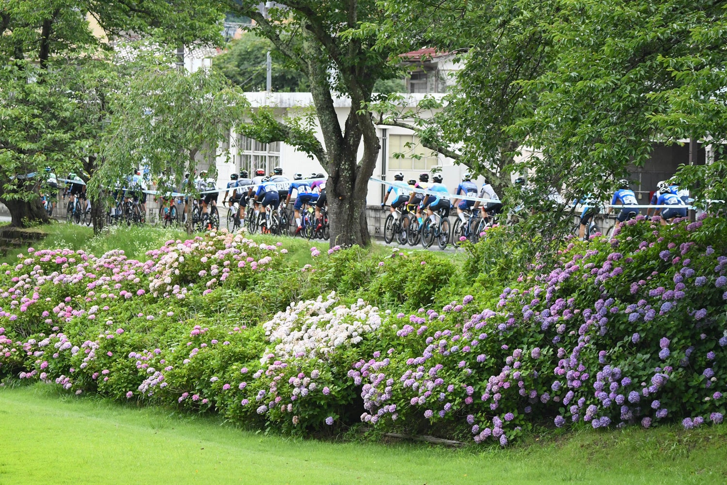 モトガッコ周辺特設コース