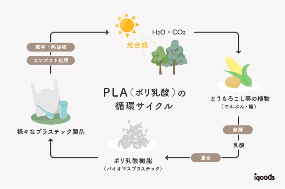 PLA樹脂の循環図（作成：アイグッズ）