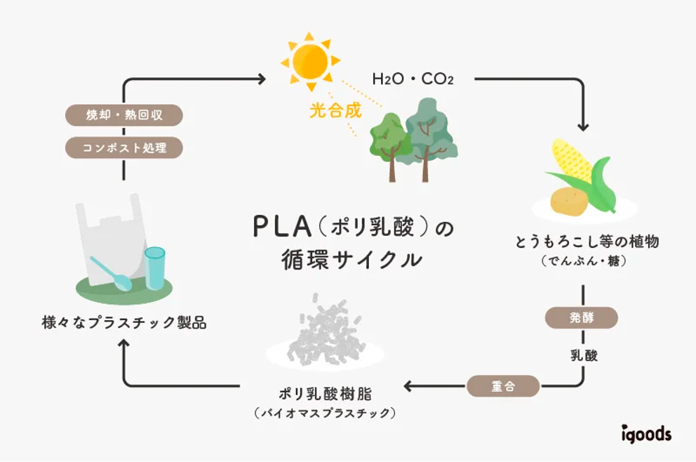 PLAの循環サイクル