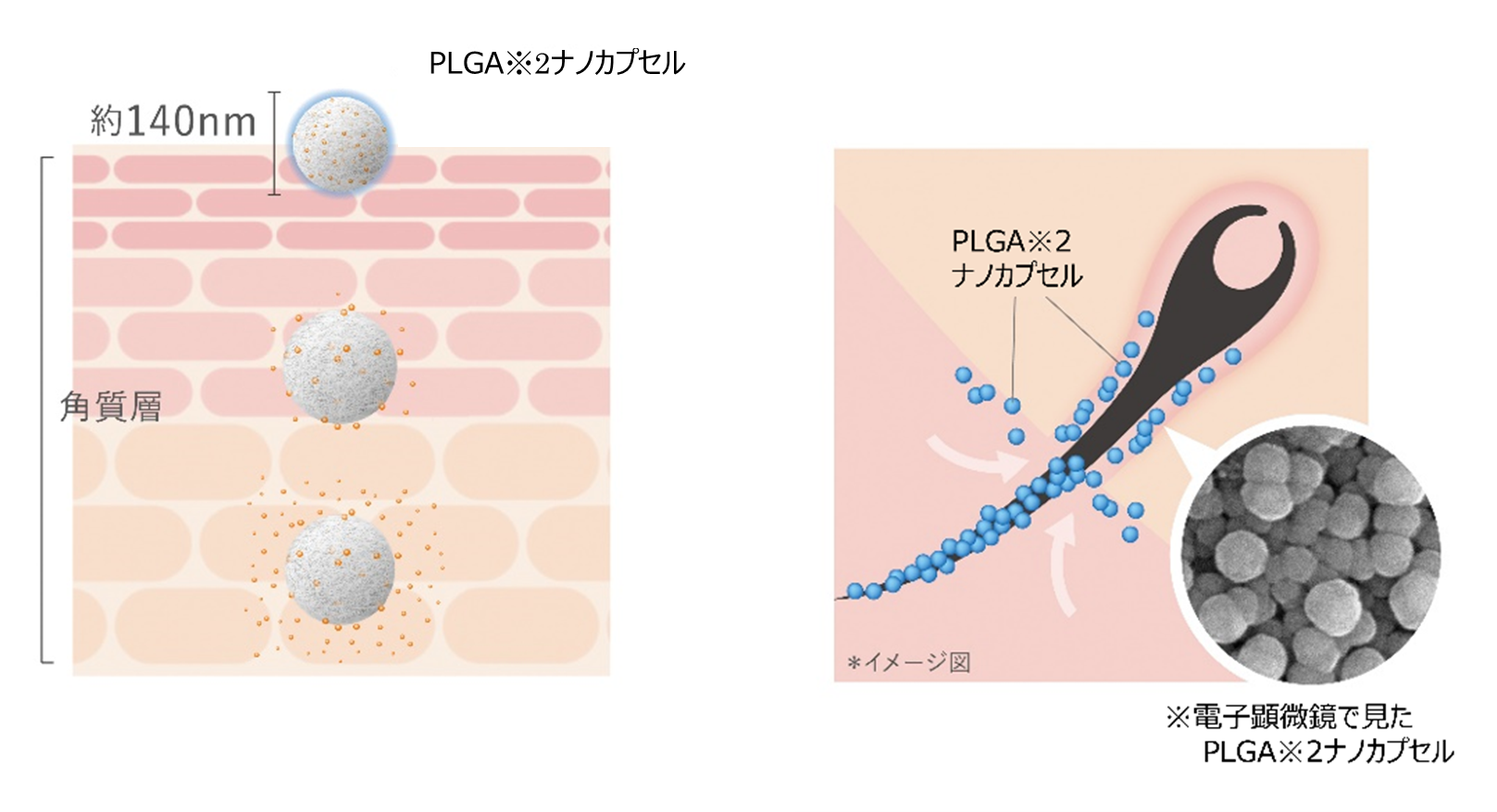 ナノテクノロジーのリーディングカンパニー ホソカワミクロンの世界