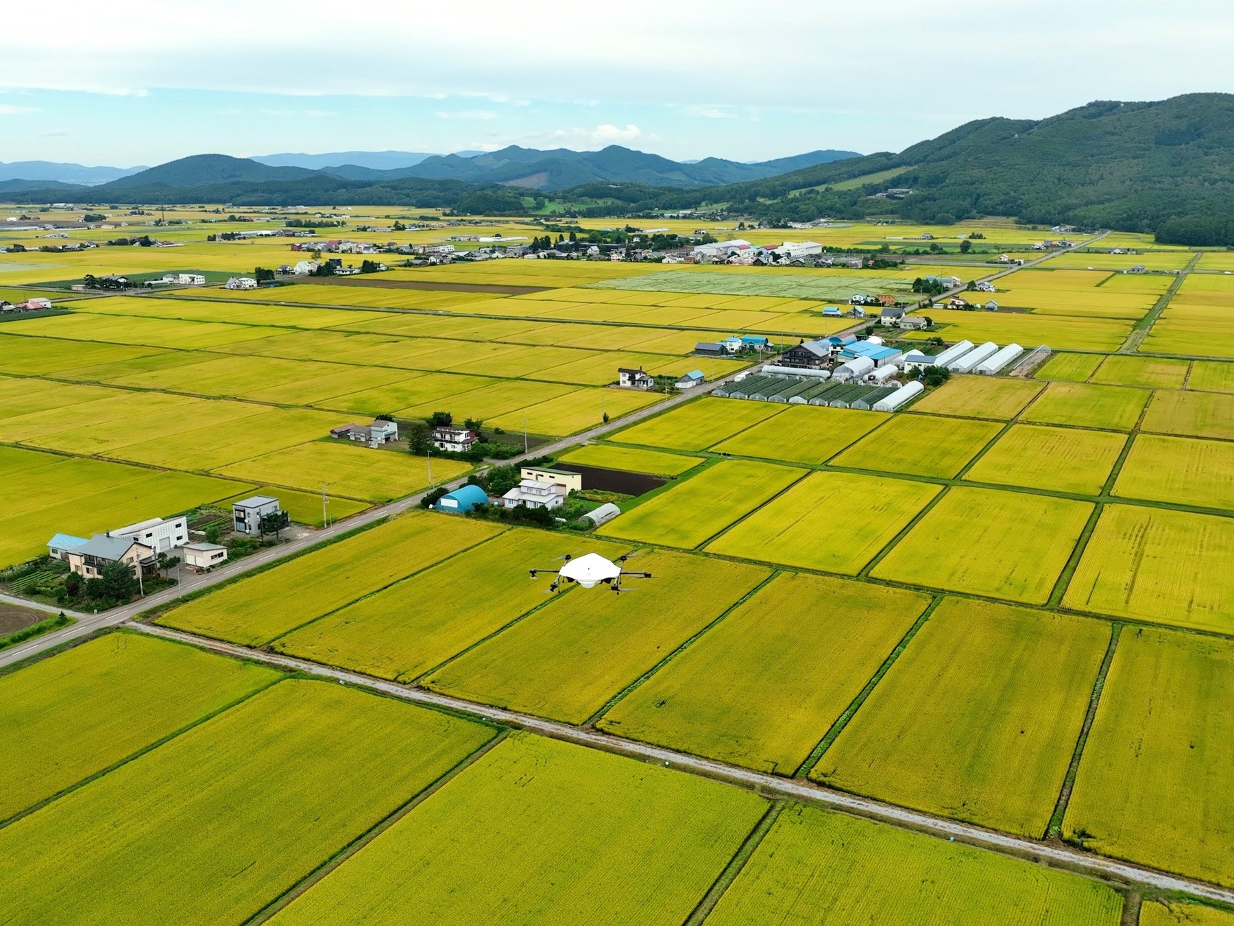 東川町の水田上空を 飛行するドローン