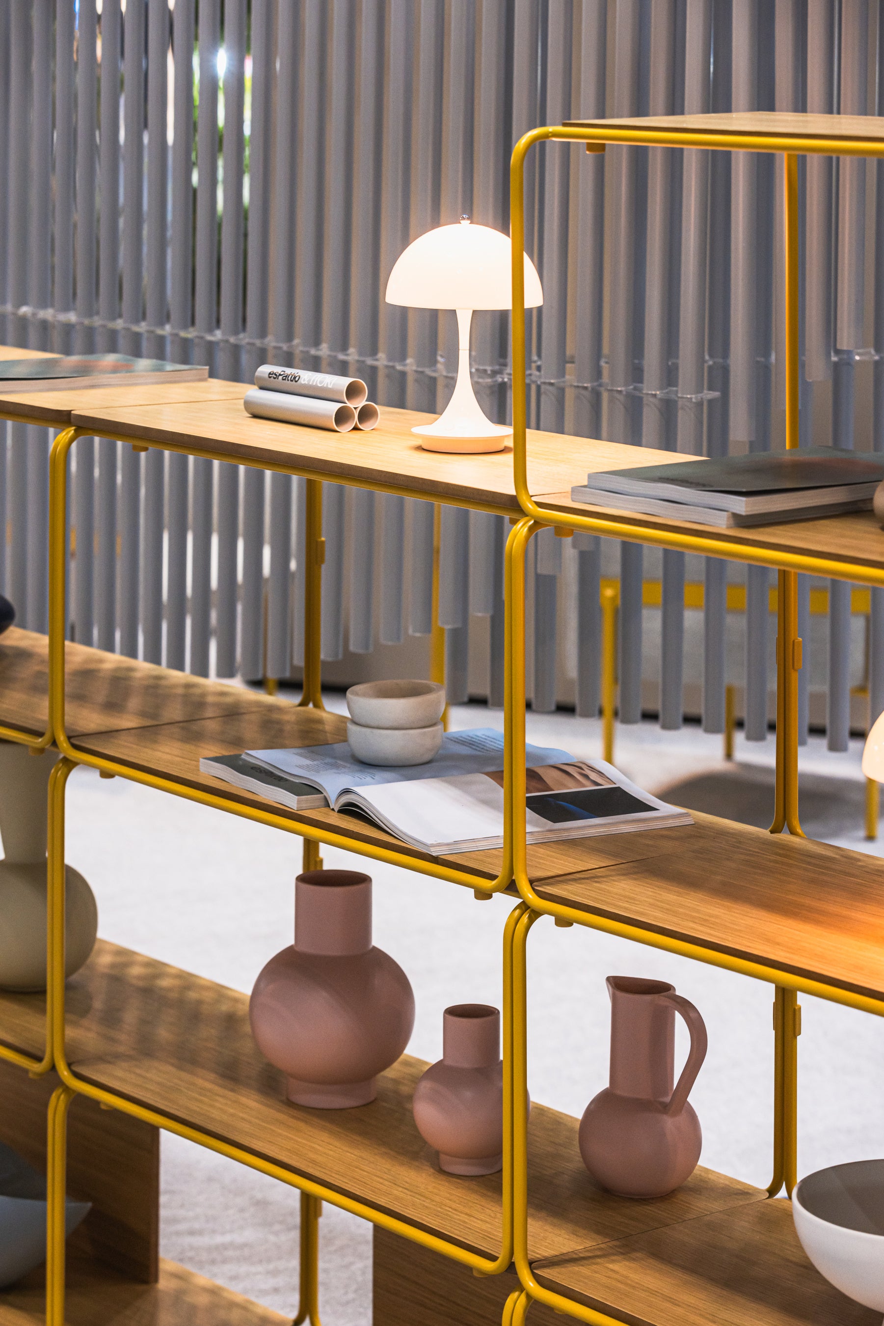 Photo：神宮巨樹（OOKI JINGU）