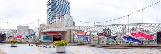 こいのぼりぼーんプロジェクト2026展示 こいのぼりぼーんプロジェクト2026展示