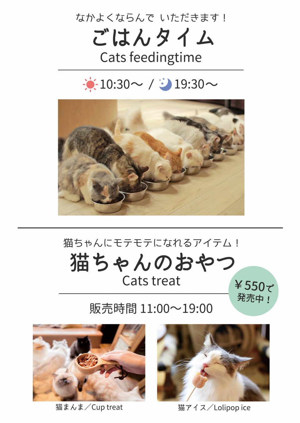 中国エリア初出店 おしゃれで話題の 猫カフェmocha がイオンモール岡山に2月17日オープン リポット株式会社のプレスリリース 中国エリア初出店 おしゃれで話題の 猫カフェmocha がイオンモール岡山に2月17日オープン リポット株式会社のプレスリリース