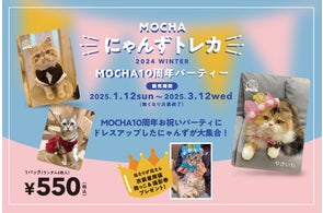 SNSで話題沸騰のMOCHAにゃんずトレカが1周年!春限定トレカ SNSで話題沸騰のMOCHAにゃんずトレカが1周年!春限定トレカ