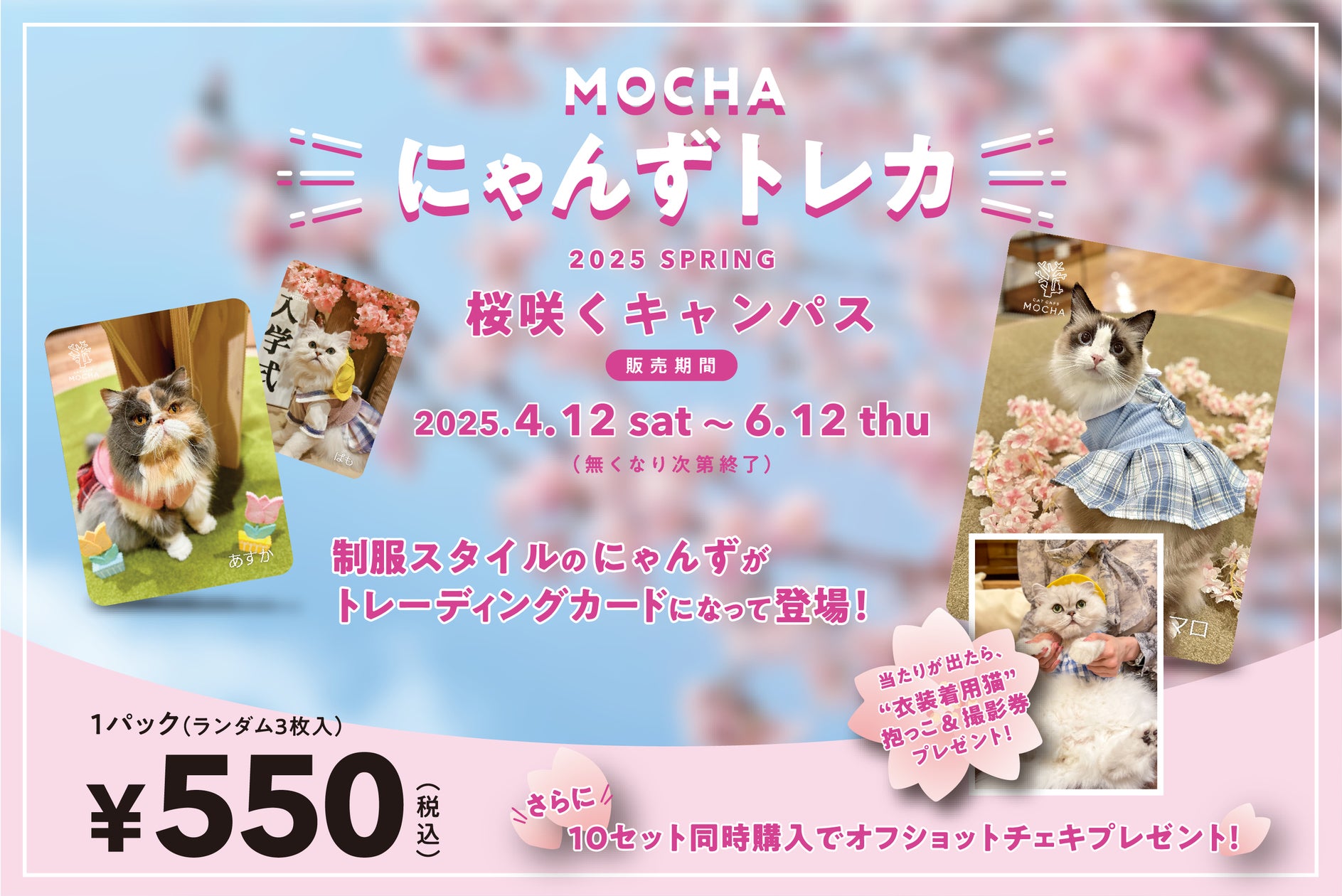 SNSで話題沸騰のMOCHAにゃんずトレカが1周年!春限定トレカ SNSで話題沸騰のMOCHAにゃんずトレカが1周年!春限定トレカ