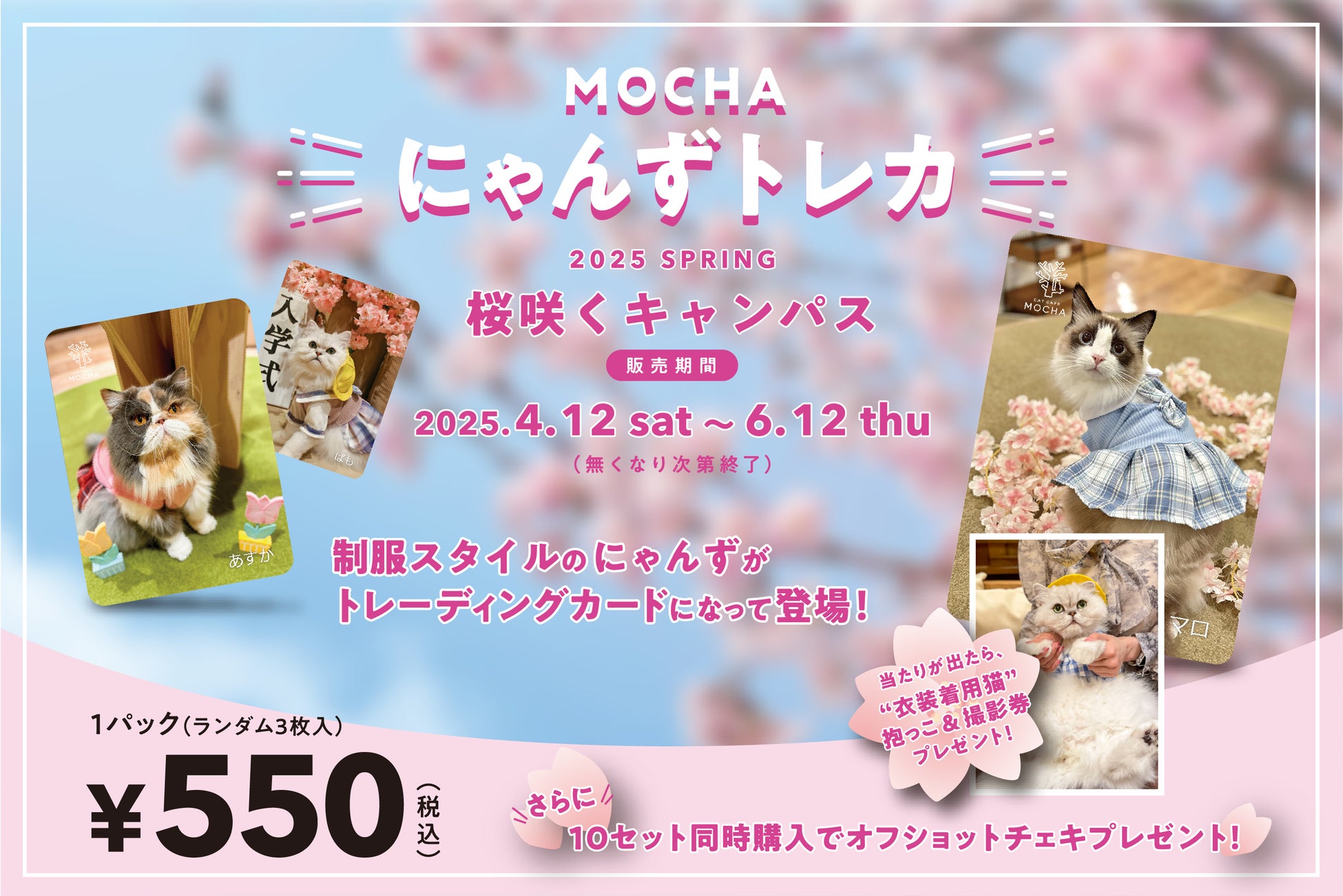【猫カフェMOCHA 】池袋本店 2025年 夏Summer トレカ 猫カフェMOCHA 】池袋本店 2025年 夏Summer トレカ 累計販売数20万枚